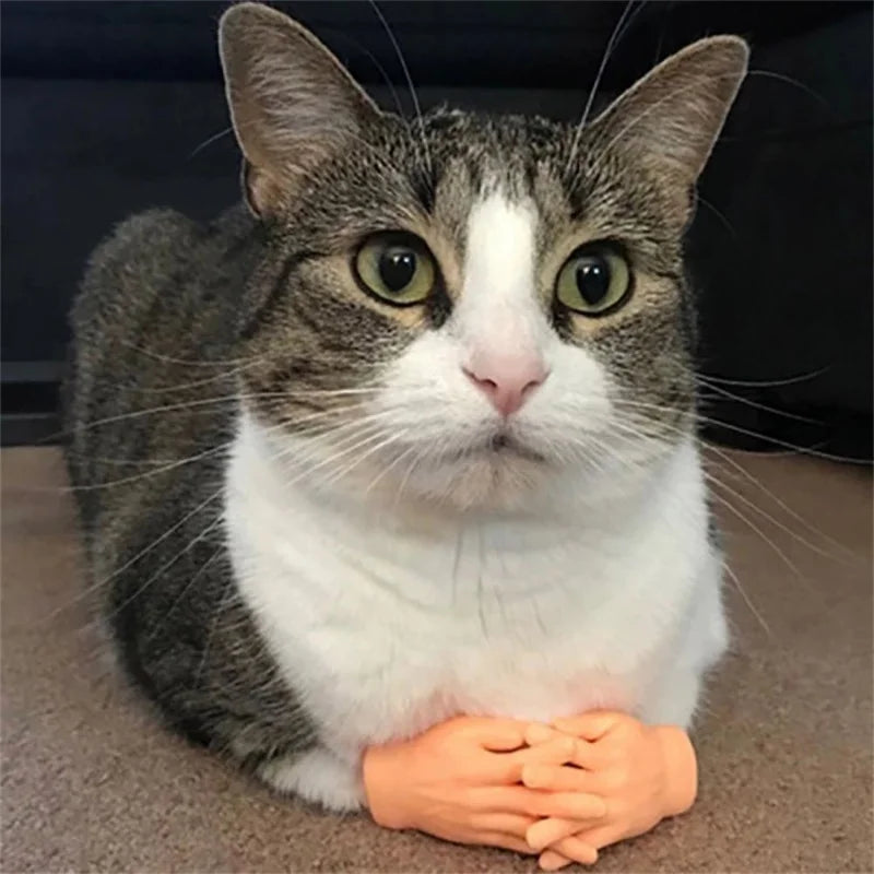 Paw-some Mini Silicone Cat Massage Gloves